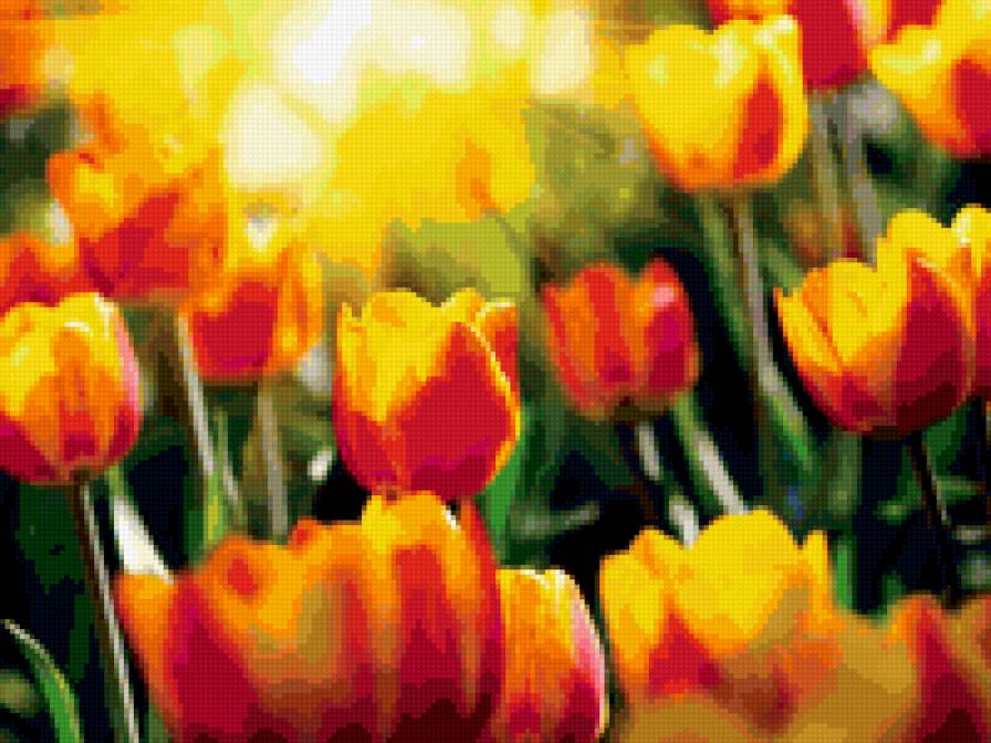 Flowers - flowers - предпросмотр