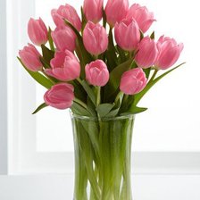 Оригинал схемы вышивки «Розовые тюльпаны» (№397318)