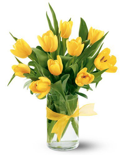 Желтые тюльпаны - тюльпаны, цветы - оригинал