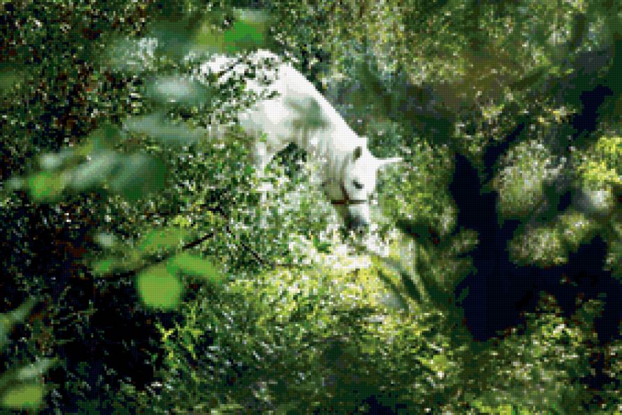 единорог - единорог - предпросмотр