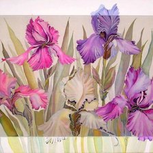 Схема вышивки «ирисы»