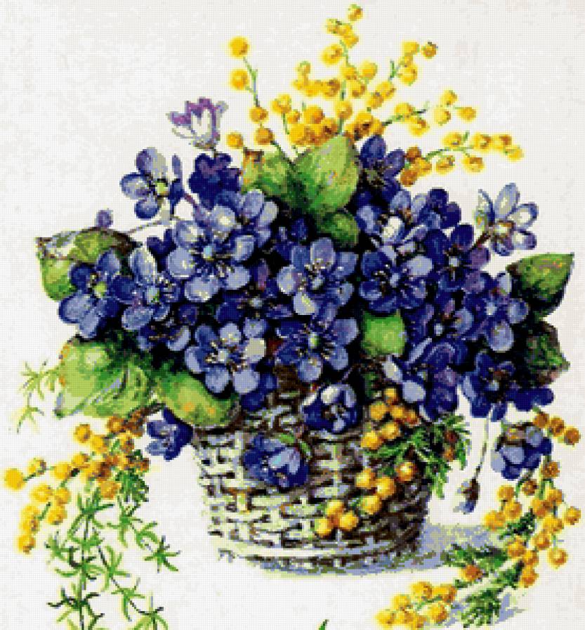 незабудки - предпросмотр