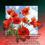 Схема вышивки «Маки в облаках»