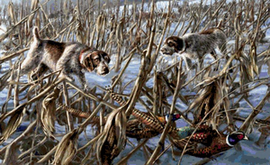 №397491 - орлы, утки, волки, дикая природа, охота, олени, медведи, птицы - предпросмотр