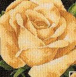 Оригинал схемы вышивки «чайная роза» (№397494)