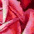 Предпросмотр схемы вышивки «розы в корзине» (№397554)