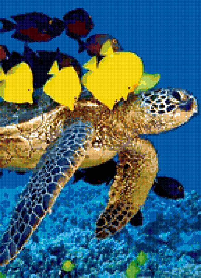 Морские обитатели - предпросмотр