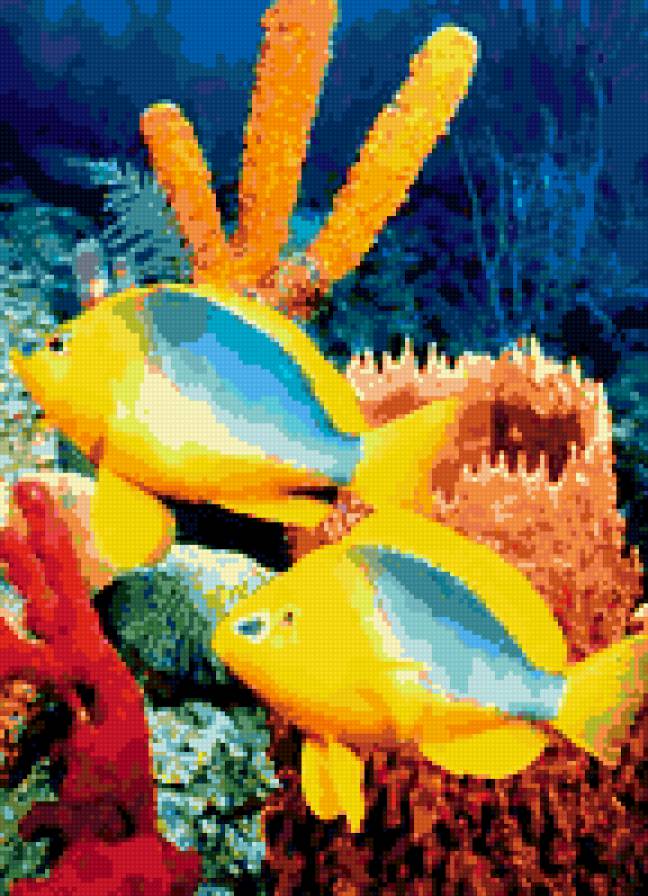 Рыбки - предпросмотр