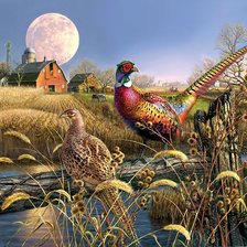 Схема вышивки «№397617»