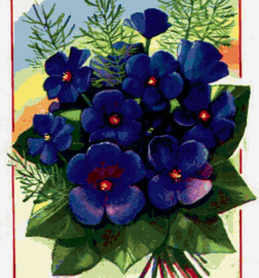 фиалки - предпросмотр