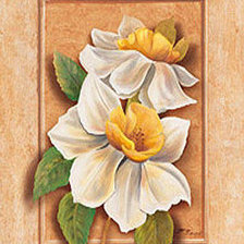 Оригинал схемы вышивки «белые цветы» (№397646)