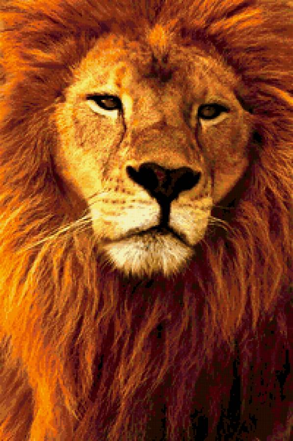 лев - лев, животные - предпросмотр