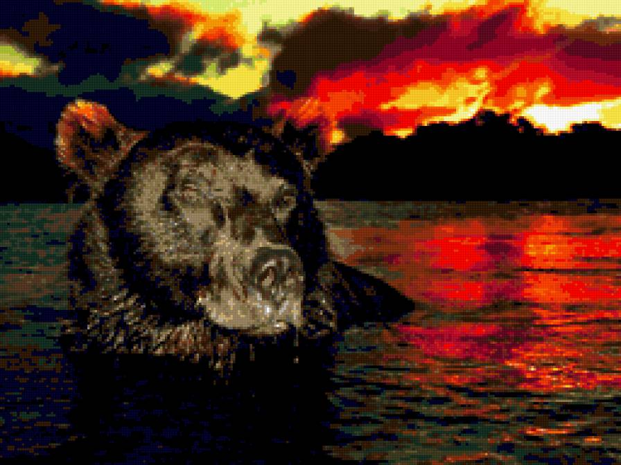 медведь20 - предпросмотр