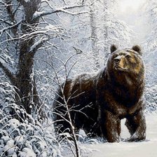 медведь22