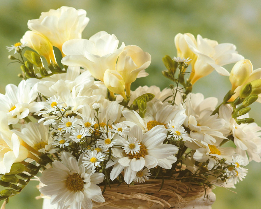 корзинка с белыми цветами - оригинал