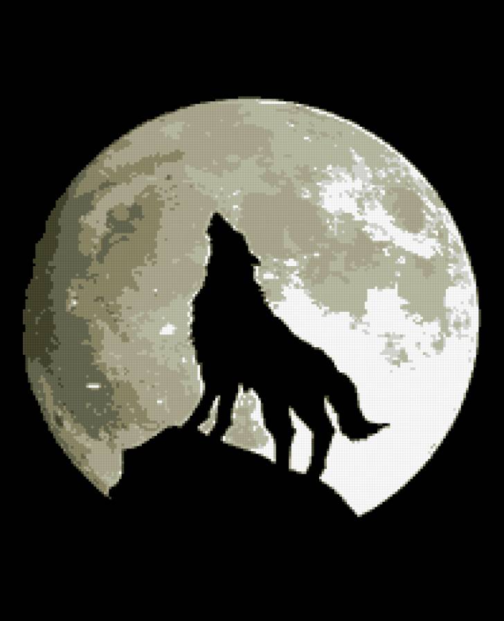 Одинокий волк - предпросмотр