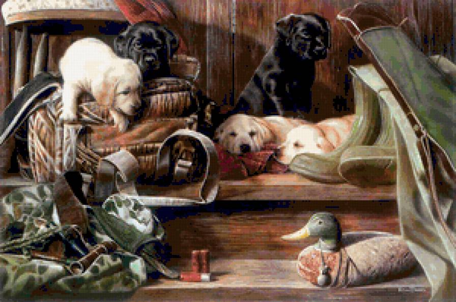 №397942 - медведи, утки, олени, орлы, охота, дикая природа, волки, птицы - предпросмотр