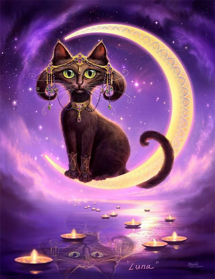 волшебная кошка - луна, jeff haynie, кошка - оригинал
