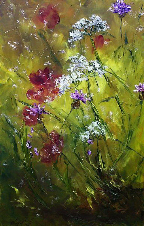 поле - маки, цветы - оригинал