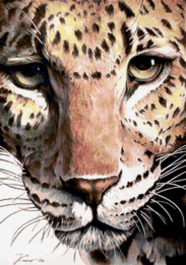 дикие кошки - предпросмотр