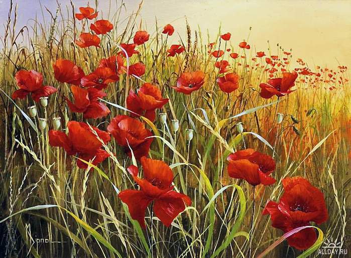 Серия "Полевые цветы" - маки, лето, цветы, пейзаж, поле - оригинал