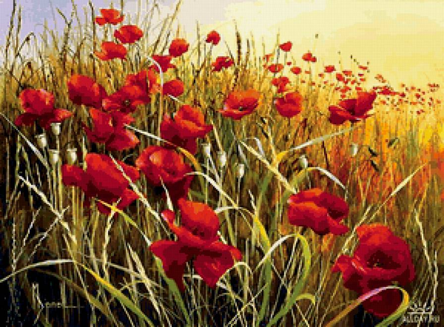 Серия "Полевые цветы" - лето, пейзаж, маки, поле, цветы - предпросмотр