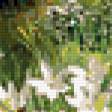 Предпросмотр схемы вышивки «Серия "Полевые цветы"» (№398479)
