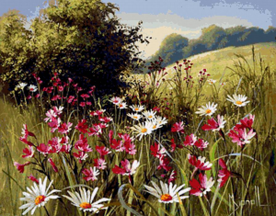Серия "Полевые цветы" - поле, пейзаж, лето, ромашки, цветы - предпросмотр