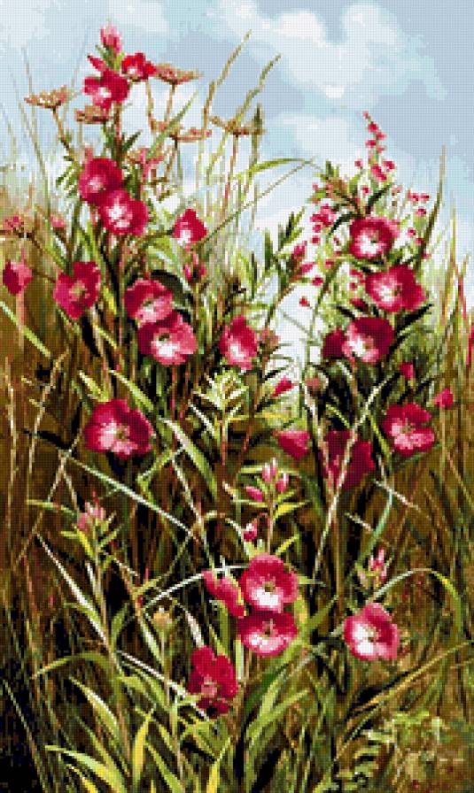 Серия "Полевые цветы" - пейзаж, мальва, цветы, лето, поле - предпросмотр