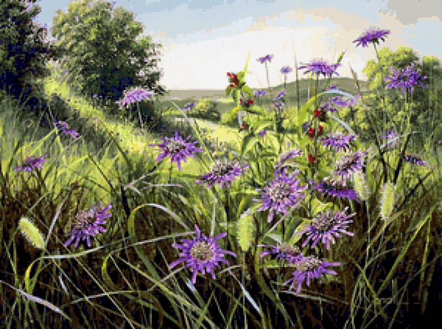 Серия "Полевые цветы" - пейзаж, поле, цветы, лето - предпросмотр