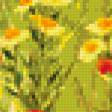 Предпросмотр схемы вышивки «Серия "Полевые цветы"» (№398489)