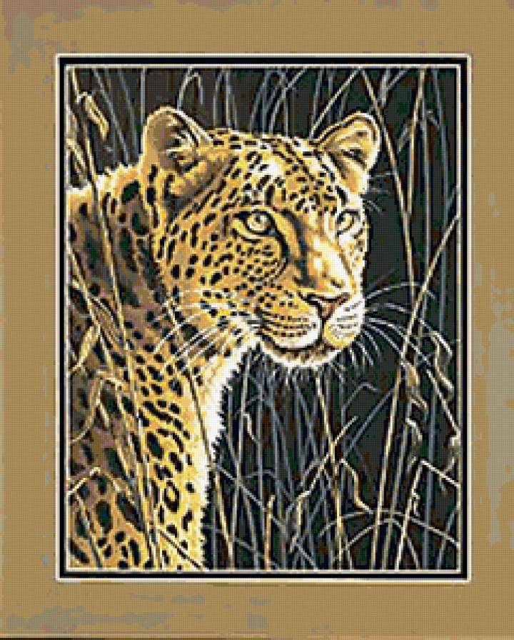 гепард - предпросмотр