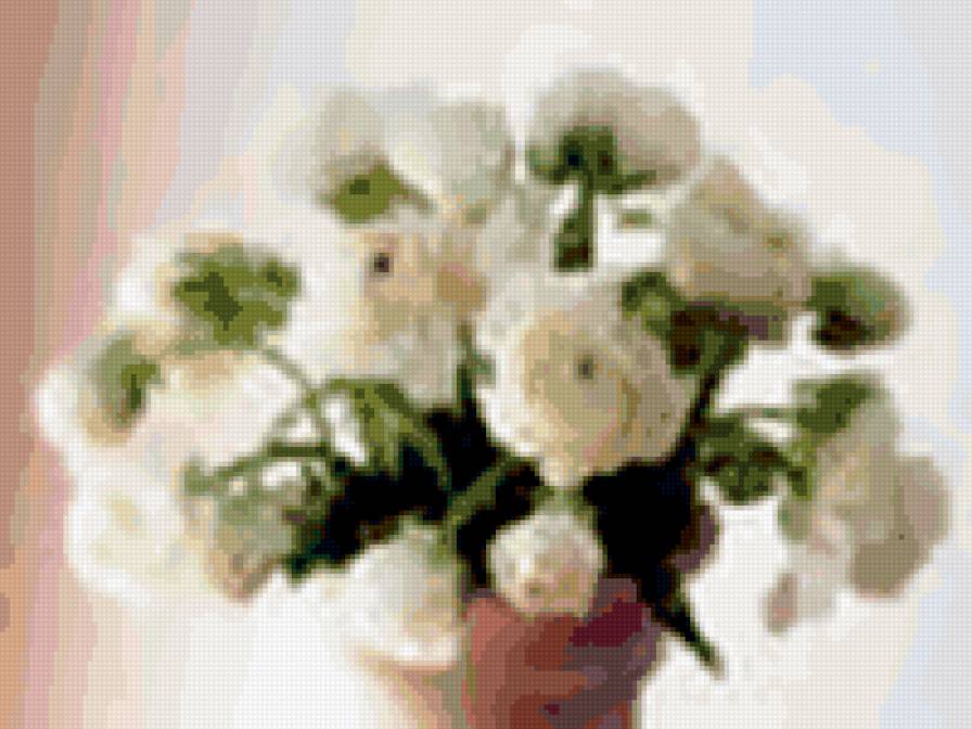 белые пионы - предпросмотр