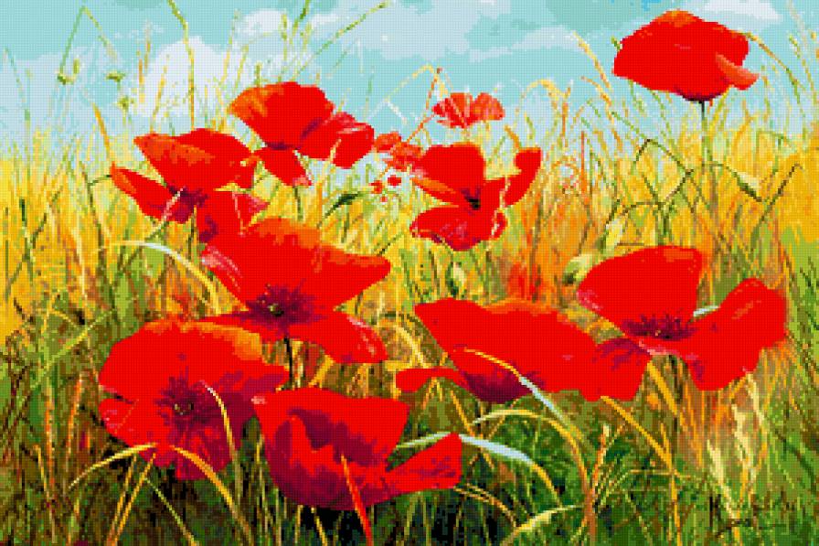 Серия "Полевые цветы" - цветы, пейзаж, маки, поле, лето - предпросмотр