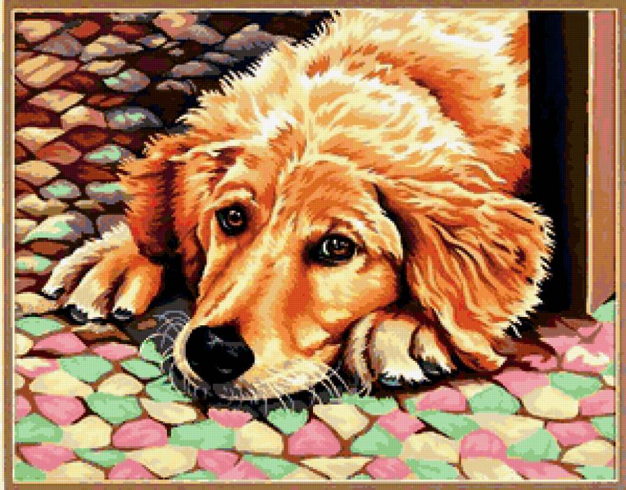 один дома - собака - предпросмотр