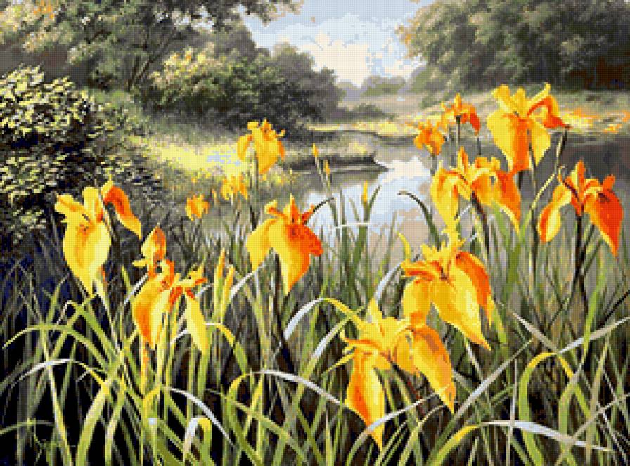 Серия "Полевые цветы" - лето, река, цветы, ирисы, поле, пейзаж - предпросмотр