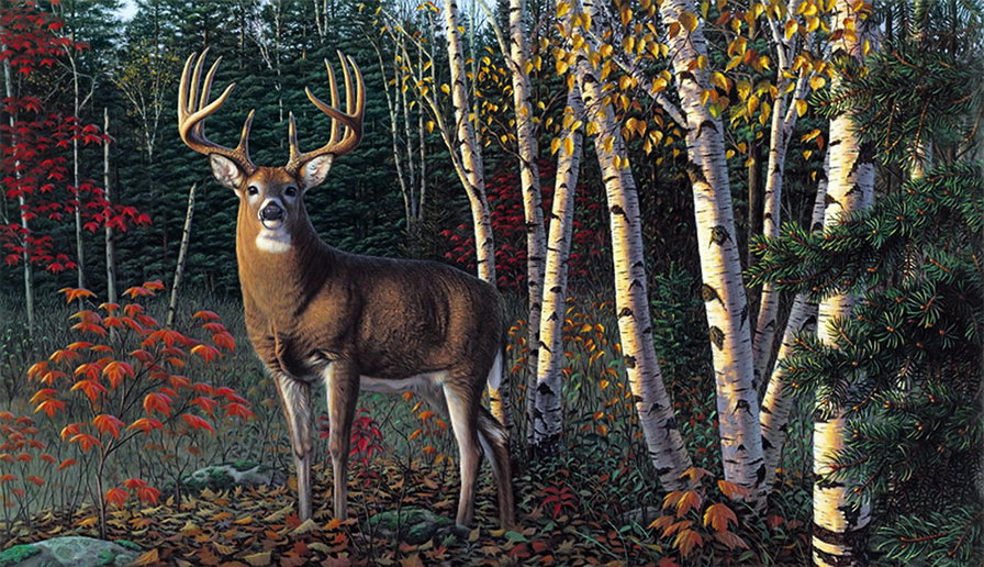 №398899 - дикая природа, птицы, утки, медведи, орлы, охота, волки, олени - оригинал