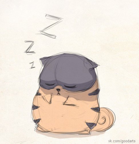 котик - оригинал