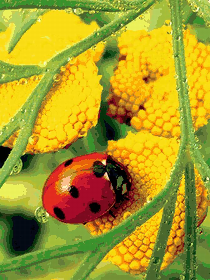 №399189 - предпросмотр