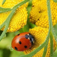 Схема вышивки «№399189»