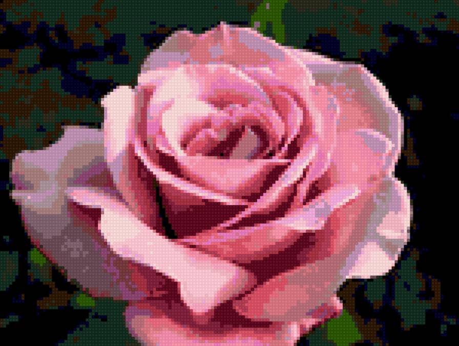 светло-сиренрвая - роза - предпросмотр