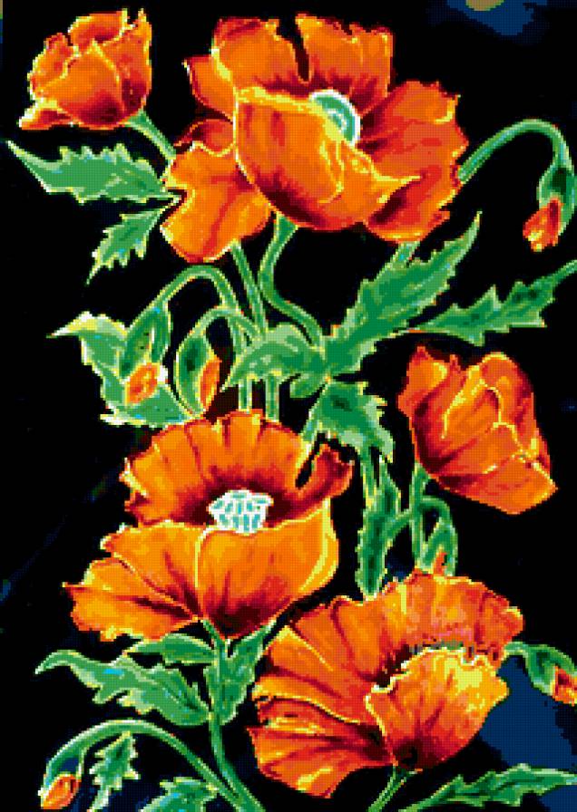 маки на черном - предпросмотр