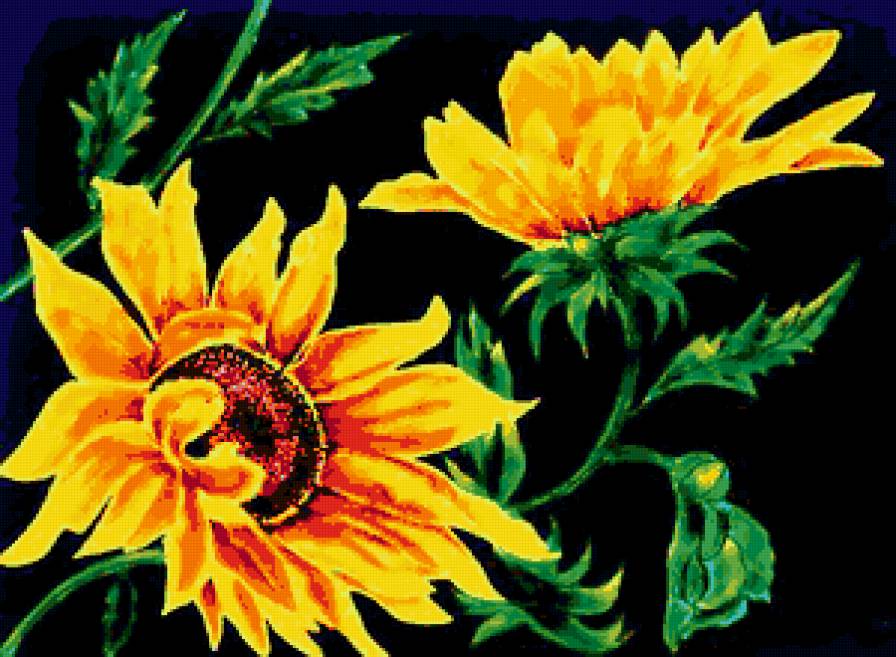 подсолнухи на черном - предпросмотр