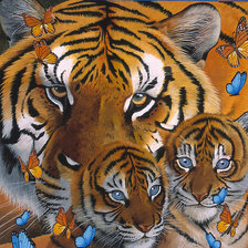 Оригинал схемы вышивки «tigri» (№399315)