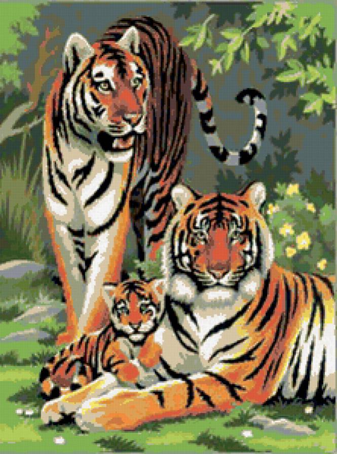 tigri - tigri - предпросмотр