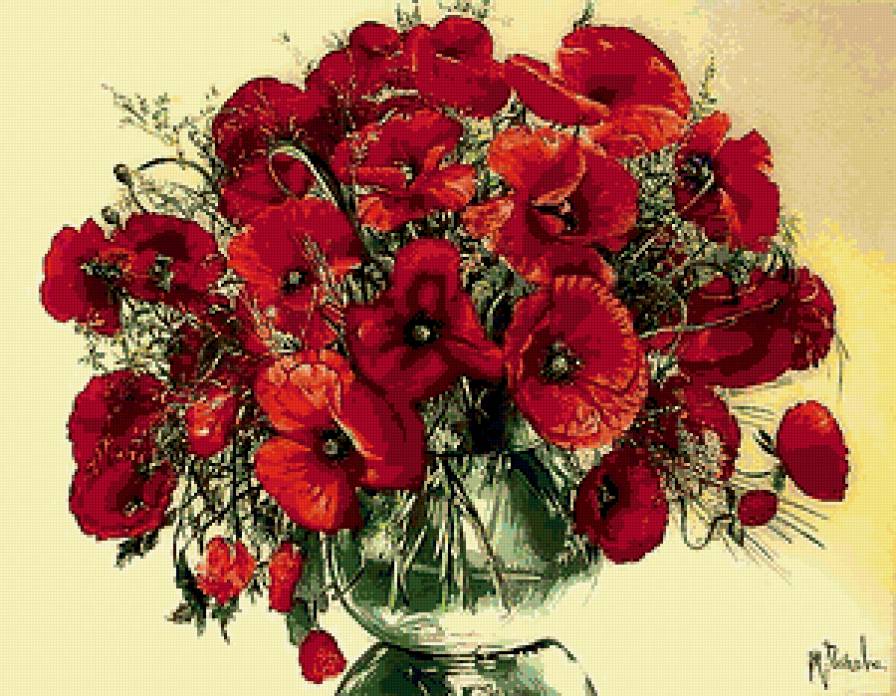 красные маки - предпросмотр