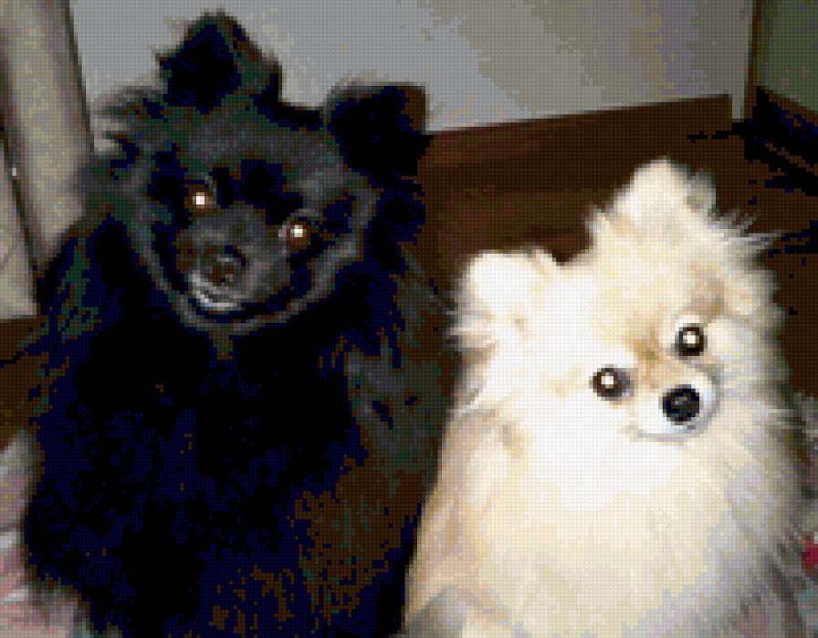 spici3 - предпросмотр