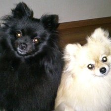 Схема вышивки «spici3»