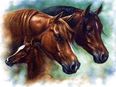 семья - лошади - оригинал