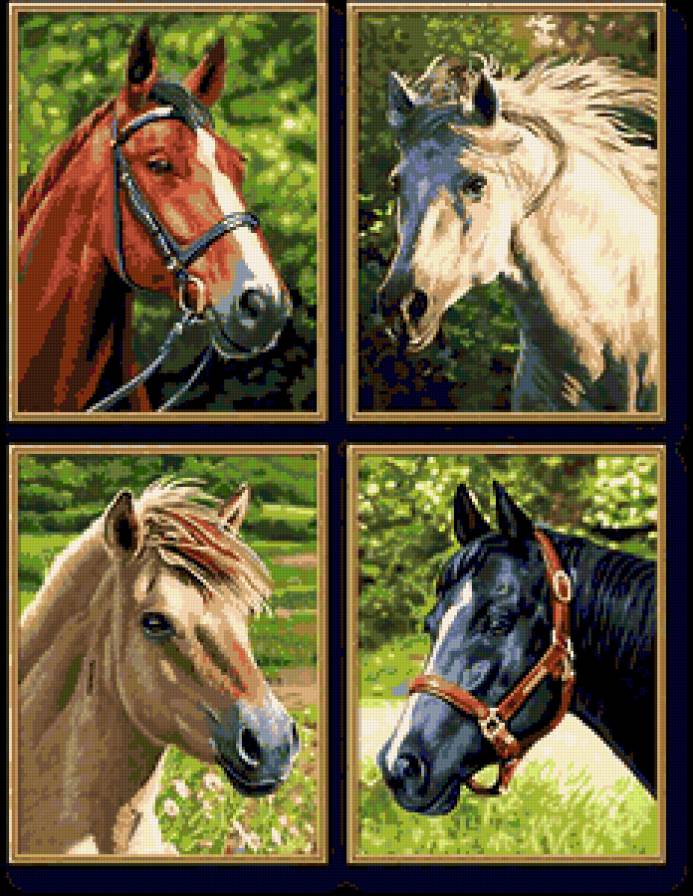 четыре масти - лошади - предпросмотр